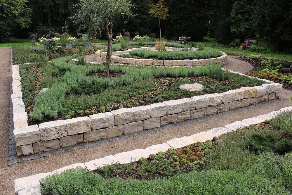 Ein Garten mit vielen Pflanzen und einer Steinmauer